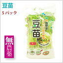 サラダコスモ 豆苗 長野県産 農薬・化学肥料不使用 5パック