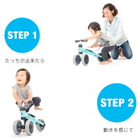 DBike(ディーバイク)ミニ【送料無料(北海道・沖縄県除く)!アイデス】1歳からのチャレンジバイクディーバイクミニ乗用玩具
