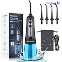 口腔洗浄器 PECHAM ジェットウォッシャー 口腔洗浄機 USB充電式 300ml 4つモード調節可能 IPX7防水 携帯型 歯間ジェット洗浄