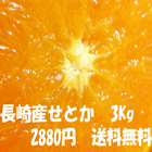 yYn܂v~A݂zƂ3kgyIz