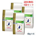 【最大350円OFFクーポン】ロイヤルカナン猫用 pHコントロール2 フィッシュテイスト 4kg(4袋セット) 【あす楽_土曜日営業】 【6/21(木)10:00~6/28(木)9:59】