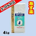 【最大350円OFFクーポン】【16時まであす楽対応】ロイヤルカナン猫用 ベッツプランメールケア 4kg【正規品】【10/12(木)10:00〜10/19(木)9:59】