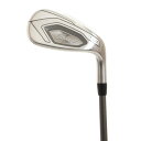 【20日限定!ポイント最大28倍!要エントリー】タイトリスト(TITLEIST) t400 アイアン (W55 ロフト55度) Tensei Blue 50 メンズ (Men's)