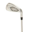 【20日限定!ポイント最大17倍!要エントリー】タイトリスト(TITLEIST) t400 アイアン (I6 ロフト23度) N.S.PRO Zelos 7 メンズ (Men's)