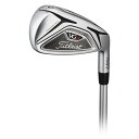【20日限定!ポイント最大26倍!要エントリー】タイトリスト(TITLEIST) VG3 TYPE~D アイアン 5本セット (6I~9I、P) Titleist VGI (Men's)