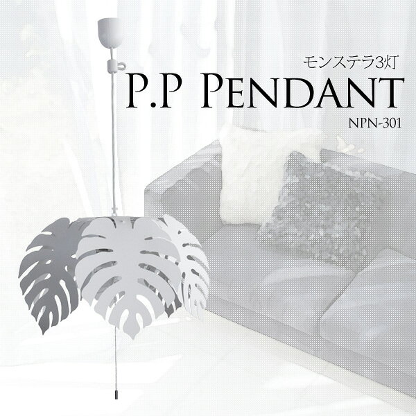 ̵P.P Pendant 󥹥ƥ3NPN-301NGLۡTC10P14Jan11