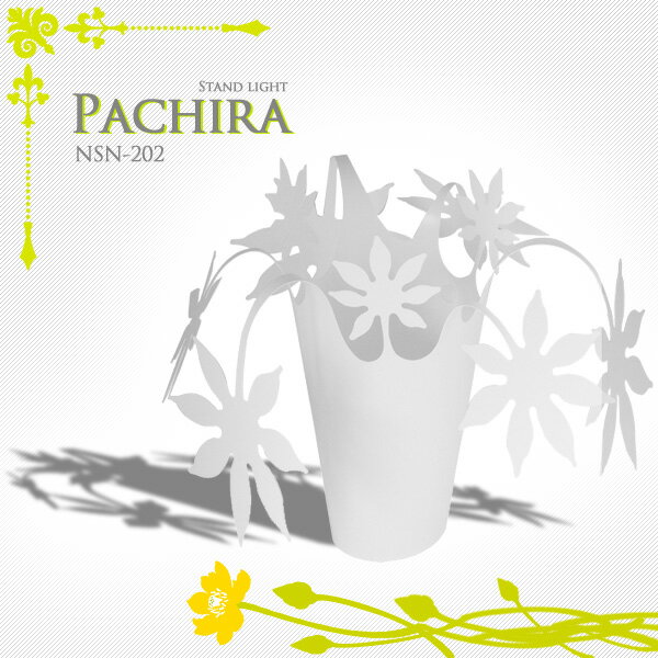 ɥ饤Pachira ѥNSN-202NGLۡTC