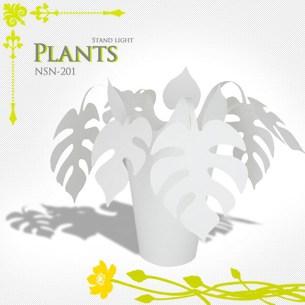 ɥ饤Plants ץNSN-201NGLۡTC