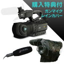 JVC GY-HM250 4K¥á¥â¥ê¡¼¥«¡¼¥É¥«¥á¥é¥ì¥³¡¼¥À¡¼¡Ì¹ØÆþÆÃŵ¡§AZDEN SGM-250CX-V ¥¬¥ó¥Þ¥¤¥¯ ¤Û¤«1ÅÀ¡Í