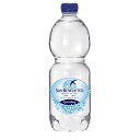 Sanbenedetto サンベネデット スパークリングウォーター ペットボトル 500ml×24送料込!【代引・同梱・ラッピング不可】 【北海道・離島・沖縄は送料別】