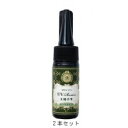 PADICO パジコ UVレジン 太陽の雫 25g ハード 2本セット 【RCP】送料込みで販売!