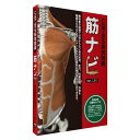 ソフトウェア CGで見る筋肉図典 筋ナビ1.01