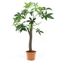 観葉植物/フェイクグリーン 【パキラ 朴の木タイプ】 8号鉢対応 幅90cm 〔リビング ガーデニング〕【代引不可】 送料込!
