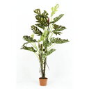 観葉植物/フェイクグリーン 【スプリット 22】 6号鉢対応 幅80cm 〔リビング ガーデニング〕【代引不可】 送料込!