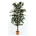 観葉植物/フェイクグリーン 【フィカス A】 7号鉢対応 幅90cm 〔リビング ガーデニング〕【代引不可】 送料込!
