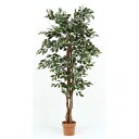 観葉植物/フェイクグリーン 【フィカス B】 7号鉢対応 幅90cm 〔リビング ガーデニング〕【代引不可】 送料込!