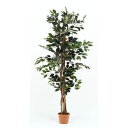 観葉植物/フェイクグリーン 【フィカス A】 6号鉢対応 幅60cm 〔リビング ガーデニング〕【代引不可】 送料込!