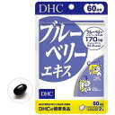 DHC ブルーベリーエキス 60日分(120粒入)【spts4】【DHC サプリメント】