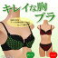 【ネコポス便送料250円】キレイな胸ブラ 〜アップル〜【ブラジャー&ショーツセット】