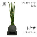 ポイント2倍 送料無料 盆栽 トクサ 檜 炭 ボール 黒皿 CUPBON フェイクグリーン 造花 ミニ サイズ PRGR-1102 消臭 調湿 効果 ヒノキ 脱臭 和 モダン 炭ボール 和室 丸い 檜炭 モダン インテリア 人口観葉植物 お手入れ 不要 ディスプレイ 装飾 お見舞い 病院 父の日