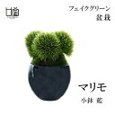 ポイント2倍 送料無料 盆栽 マリモ フェイクグリーン ミニサイズ 小鉢 藍 造花 観葉植物 インテリア 置き物 和室 おしゃれ モダン リアル 陶器 プレゼント ギフト CUPBON PRGR-1215 カップボン 人口植物 和 グリーン シンプル 店舗 ディスプレイ 装飾 人気 お見舞い 贈り物