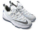 NIKE LEBRON XIII LOW GS WHITE/...