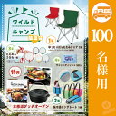 ワイルドキャンプ抽選会100人用 ( 抽選会 結婚式 忘年会 歓迎会 パーティ 二次会 イベント 大会 記念品 ギフト 景品 コンペ 雑貨 贈答 粗品 ノベルティ 販促品 プレゼント )