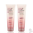 ジョヴァンニ 2chic フリッズビーゴーン シャンプー&コンディショナー 250ml /250g ( giovanni frizzbegone dual ヘアケア シャンプー コンディショナー オーガニック 大人気 )