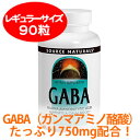 【アミノの力】 ★イライラさんに注目のアミノ酸 GABA・ギャバ（ガンマアミノ酪酸）750mg 90カプセル