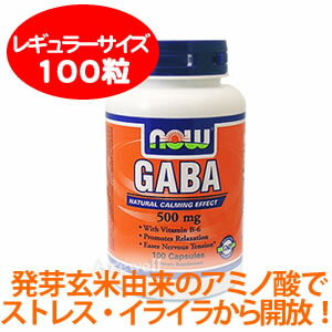 ストレス・イライラをリラックス 発芽玄米に含まれる注目のアミノ酸 ギャバ プラス ビタミンB6 100カプセル