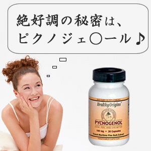 【1粒に抽出ピクノジェノール100mg！】 お徳用ピクノジェノール100mg 60粒 フランス海岸松樹皮エキスといえばコレ！ 