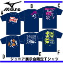 ジュニアメッセージ入りTシャツ【限定品】【MIZUNO】ミズノ ジュニア野球Tシャツ メッセージ入りTシャツ 15AW(12JA5T9414)*20