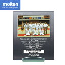 メモリアルパブミラー(オールマイティー)【molten】モルテン 記念品(MPMSA)*20