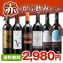 がぶ飲みワイン「赤」6本セットが2980円お値段以上の至福感を味わえる厳選ワイン！1本あたり497円