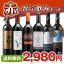 がぶ飲みワイン「赤」6本セットが2980円お値段以上の至福感を味わえる厳選ワイン！1本あたり497円