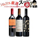 【送料無料】ワインソムリエおすすめ スパイシー 赤ワイン バ...