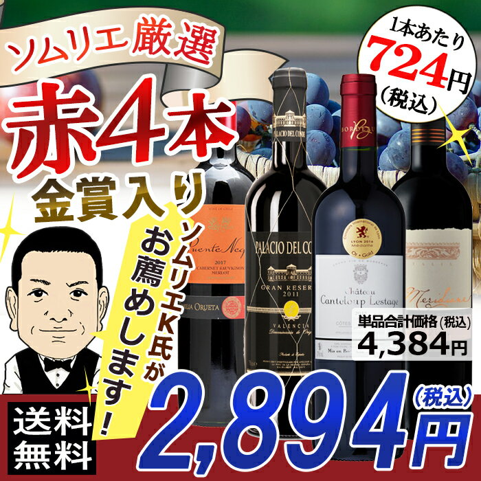 【送料無料】ワインソムリエおすすめ お手頃チョイス 赤ワイン バラエティ4本セット フランス チリ スペイン イタリア 辛口 ソムリエ厳選 ソムリエセット