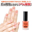 ネイル ネイルパーツ ネイルシール ネイル工房 ネイルチップ...