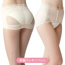 【ポイント2倍】 < 送料無料 > 骨盤ベルト [芦屋美整体...