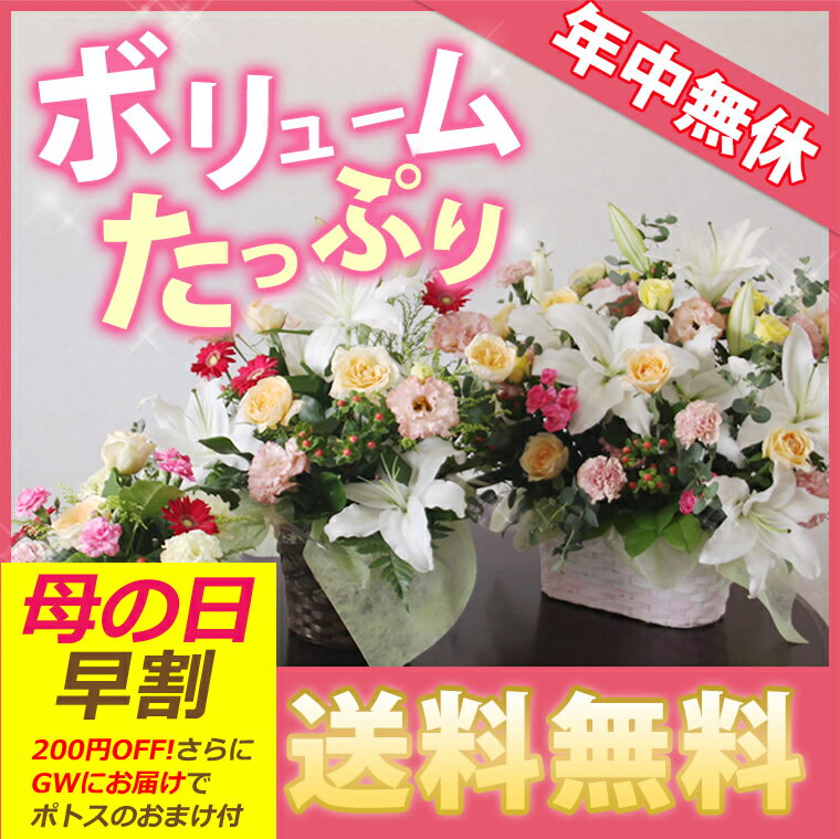 母の日ギフト＼楽天1位／母の日/【送料無料】花/即日発送/フ...