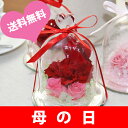 【母の日】即日発送【送料無料】プリザーブドフラワー