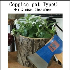 SALE/早割/早得/割引/5％OFF/宅配便送料490円に割引/カピスポットC/Coppice potTypeC/植木鉢/鉢/フラワーポット/ディスプレイ雑貨/ナチュラル/庭/ガーデン/店舗用/ディスプレイ用/コンクリート製/ダルトン/DULTON【RCP】父の日/A456-231C