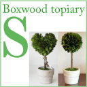 ●入荷！/プレゼント/送料半額315円/BOX WOOD TOPIARY S /ボックスウッドトピアリーS/Heart/Ball/S/かもめ食堂/でも登場♪/DULTON/ダルトン