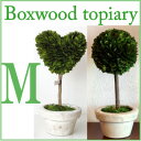 送料390円に割引します/BOX WOOD TOPIARY M/ボックスウッドトピアリーM/Heart/Ball/M/かもめ食堂/でも登場♪/クリスマス/プレゼント/DULTON/ダルトン【RCP】