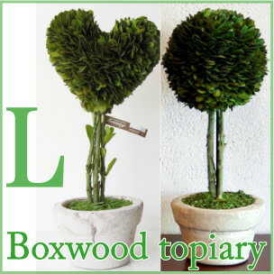 ●入荷！/送料半額315円/BOX WOOD TOPIARY L/ボックスウッドトピアリーL/Heart/Ball/L/かもめ食堂/でも登場♪/DULTON/ダルトン