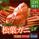 贈答品 送料無料 鳥取県 境港産 ボイル 松葉カニ 蟹 A級...