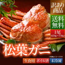 送料無料 訳あり 鳥取県 境港産 ボイル 松葉カニ 蟹 1尾...