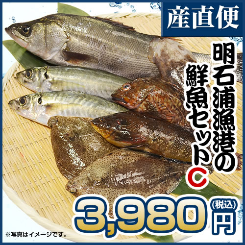 取れたて新鮮！　明石浦漁港の鮮魚セットC　安心・安全な明石浦の魚【鮮魚セットC】...:viz-w:10000038