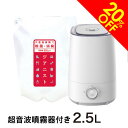 次亜塩素酸水 500ppm 次亜塩素酸 ジアニスト2.5L 超音波噴霧器付超音波加湿器 超音波噴霧器手を使わずに付着菌を除去するキット除菌消臭 ウイルス 細菌 カビ 花粉 ペット臭経口・吸入・眼・皮膚刺激性試験済み 10倍希釈利用で25L分 まるで空気清浄器