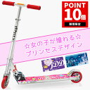 【ポイント10倍】【プロテクタープレゼント】 キックボード ...